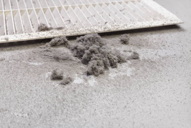 Best HVAC System Cleaning  in St Michaels, MD