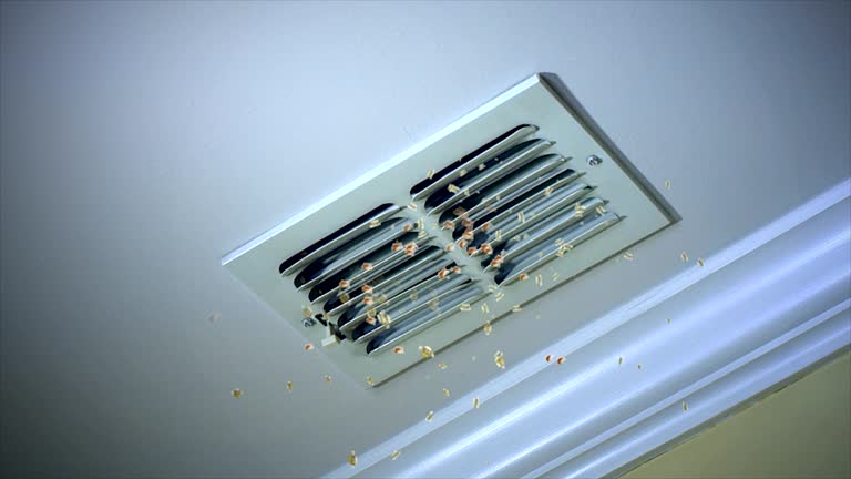 Best Air Duct Cleaning Company Near Me  in St Michaels, MD