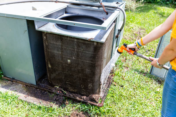 Air Duct Mold Removal in MD