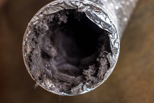 Best Commercial Air Duct Cleaning  in St Michaels, MD