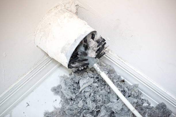 Best Home Air Vent Cleaning  in St Michaels, MD
